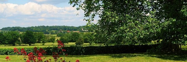 Relaks, Krzesła, Ogród