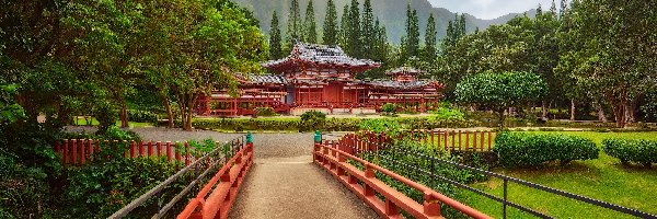 Roślinność, Góry, Świątynia japońska, Wyspa Oahu, Hawaje, Drzewa, Replika