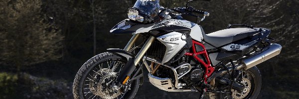 2016, BMW F 800 GS Trophy, Motocykl