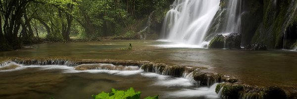 Wodospad Cascade des Tufs, Rośliny, Las, Francja