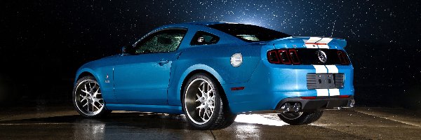 Cobra, GT500, Ford Shelby