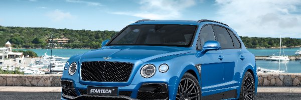 Bentley Bentayga, Niebieski