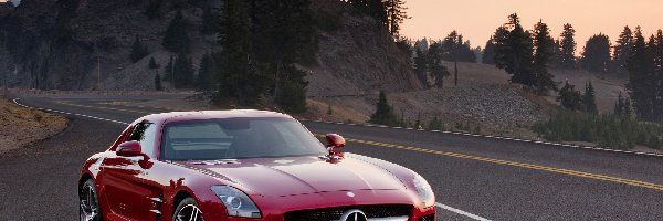 2010, Mercedes-Benz SLS AMG