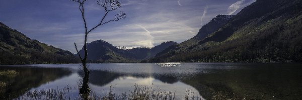 Drzewo, Promienie słońca, Góry, Jezioro