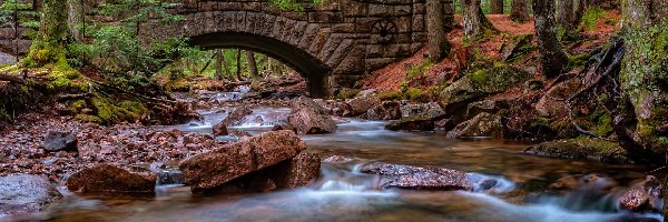 Most Hadlock Brook Bridge, Park Narodowy Acadia, Las, Stan Maine, Stany Zjednoczone, Kamienny, Rzeka