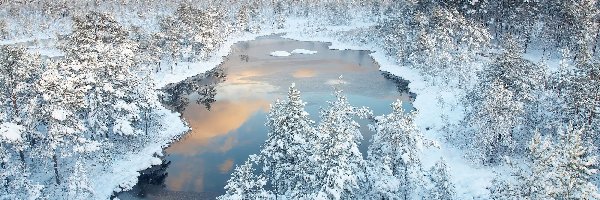 Jezioro, Las, Zima