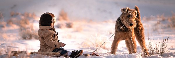 Zima, Terrier walijski, Dziecko, Śnieg