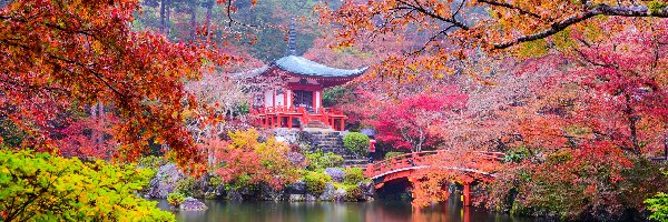 Świątynia Benten-dō, Kioto, Drzewa, Jesień, Kompleks świątynny Daigo-ji, Mostek, Staw, Japonia