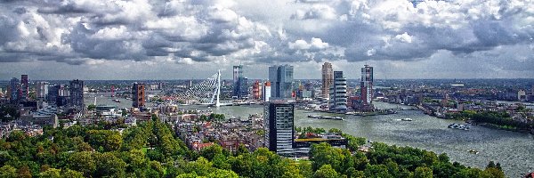 Miasto, Holandia, Rotterdam
