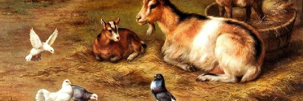 Edgar Hunt, Gołębie, Kozy