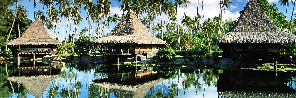 Wyspa Moorea, Palmy, Domki, Polinezja Francuska