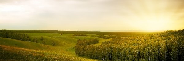 Lato, Niebo, Ciemne, Las, Łąka, Chmury, Deszczowe