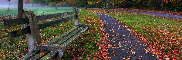 Ławka, Park, Jesień