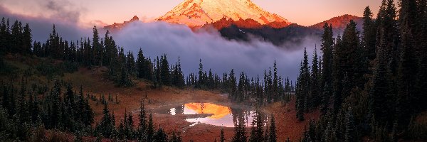 Góry, Stan Waszyngton, Mgła, Jezioro Tipsoo, Park Narodowy Mount Rainier, Stratowulkan Mount Rainier,  Drzewa, Stany Zjednoczone