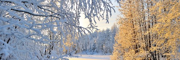 Zima, Karelia Północna, Śnieg, Rzeka, Gmina Liperi, Drzewa, Las, Finlandia