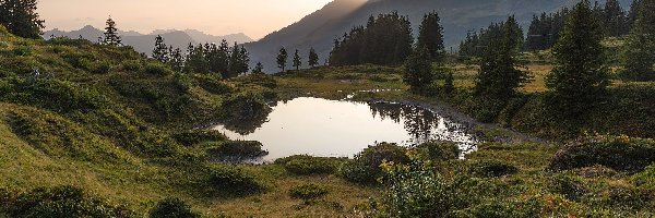 Słońce, Przełęcz Grosse Scheidegg, Jezioro, Góry Alpy Berneńskie, Szwajcaria, Rośliny, Drzewa