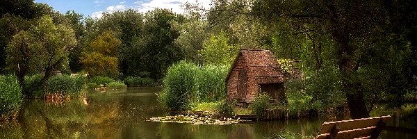 Staw, Ławka, Domki, Drzewa, Rośliny
