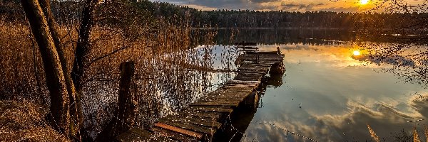 Jezioro, Pomost, Zachód Słońca, Drzewa, Szuwary