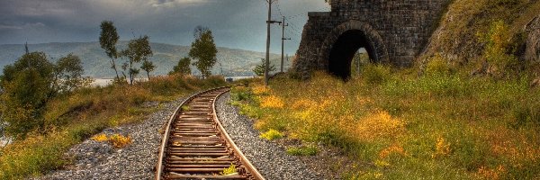 Kolejowy, Rośliny, Tunel, Tor