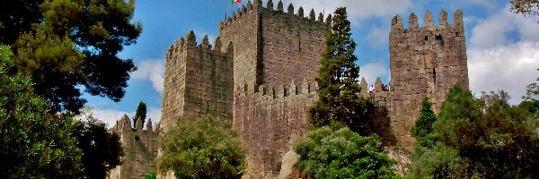 Trawnik, Guimarães, Portugalia, Dystrykt Braga, Zamek w Guimaraes, Drzewa, Droga