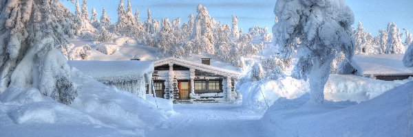 Domek, Śnieg, Drzewa, Droga