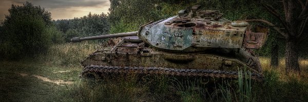 Bagna, M41 Walker Bulldog, Czołg