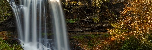 Las państwowy, Stan Karolina Północna, Drzewa, Skały, Highlands, Nantahala National Forest, Wodospad Dry Falls, Stany Zjednoczone