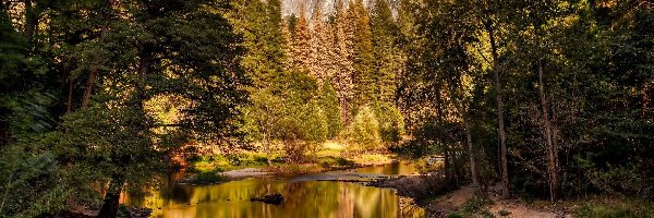 Rzeka Merced River, Stan Kalifornia, Drzewa, Half Dome, Park Narodowy Yosemite, Skały, Góry, Stany Zjednoczone