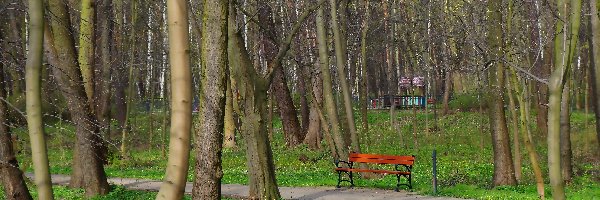 Park, Drzewa, Ławka, Alejka, Zieleń