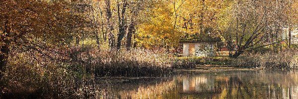 Park Sołacki, Jesień, Staw, Poznań