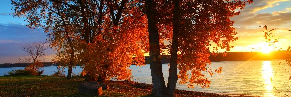 Jesień, Wschód słońca, Drzewa, Rzeka