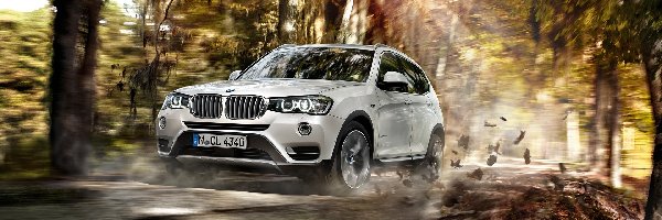 Drzewa, Droga, Bmw X3