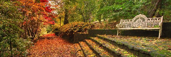 ławka, Jesień, Schody, Park