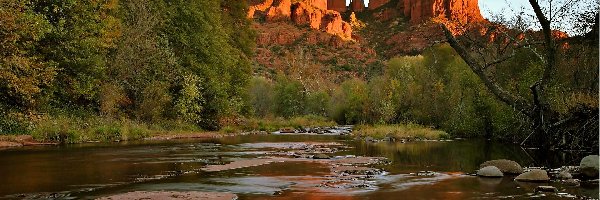 Sedona, Rzeka, Las, Arizona, Skały, Czerwone