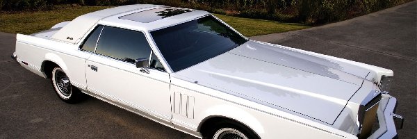 Lincoln, Mark V, Continental, Drzewa, Droga