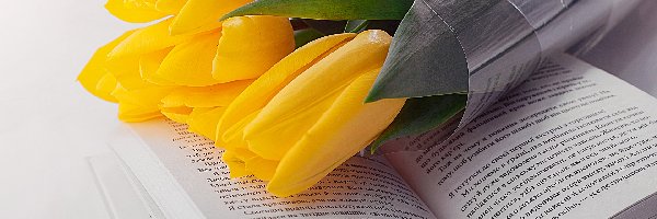 Książka, Tulipany, Żółte
