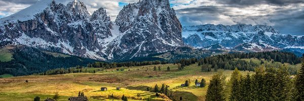 Drzewa, Region Trydent-Górna Adyga, Domy, Las, Płaskowyż Seiser Alm, Góry, Ośnieżone szczyty, Włochy, Dolomity, Chmury