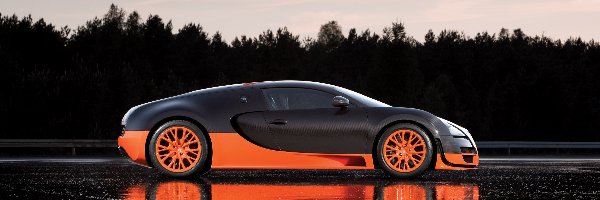 16.4 Super Sport, Wersja, Bugatti Veyron