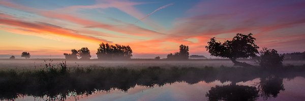 Odbicie, Rzeka Ouse, Mgła, Ely, Anglia, Drzewa, Zachód słońca