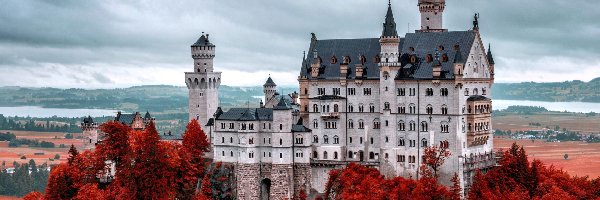 Lasy, Zamek Neuschwanstein, Skały, Drzewa, Bawaria, Niemcy
