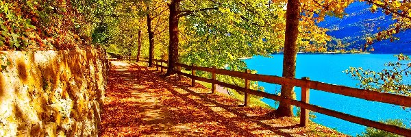 Drzewa, Jesień, Jezioro, Droga