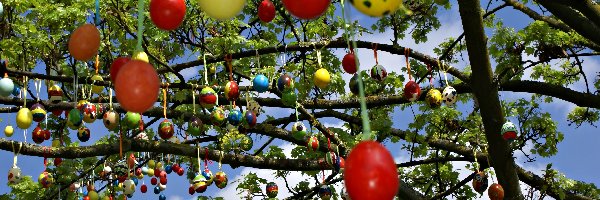 Kolorowe pisanki, Wiosna, Drzewo, Wielkanoc