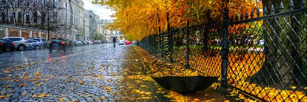 Parasol, Ulica, Liście, Drzewa, Deszcz, Budynki, Samochody, Jesień