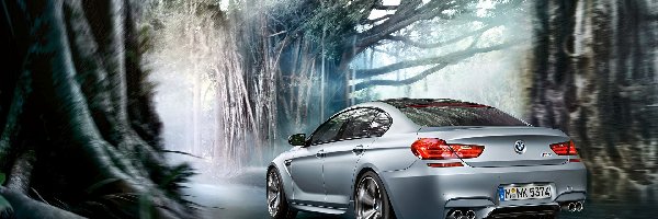 Drzewa, Droga, Bmw M6