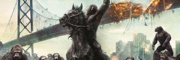 Małpy, Dawn of the Planet of the Apes, Wojna, Ewolucja planety małp, Film, Most, Zniszczony
