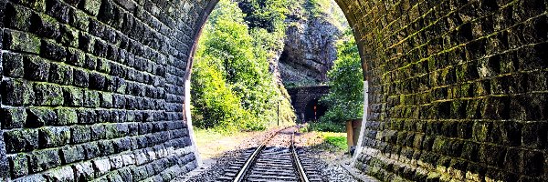 Tunel, Drzewa, Skały, Tory kolejowe