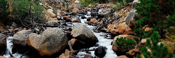 Górski, Kamienie, Las, Potok