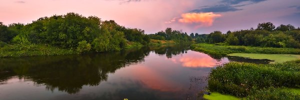 Zachód, Drzewa, Słońca, Rzeka