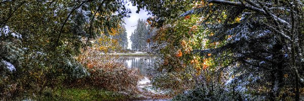 Park, Jezioro, Drzewa, Zima