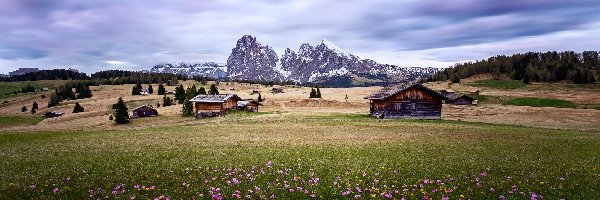 Domy, Góry, Dolomity, Dolina Val Gardena, Włochy, Kwiaty, Łąka